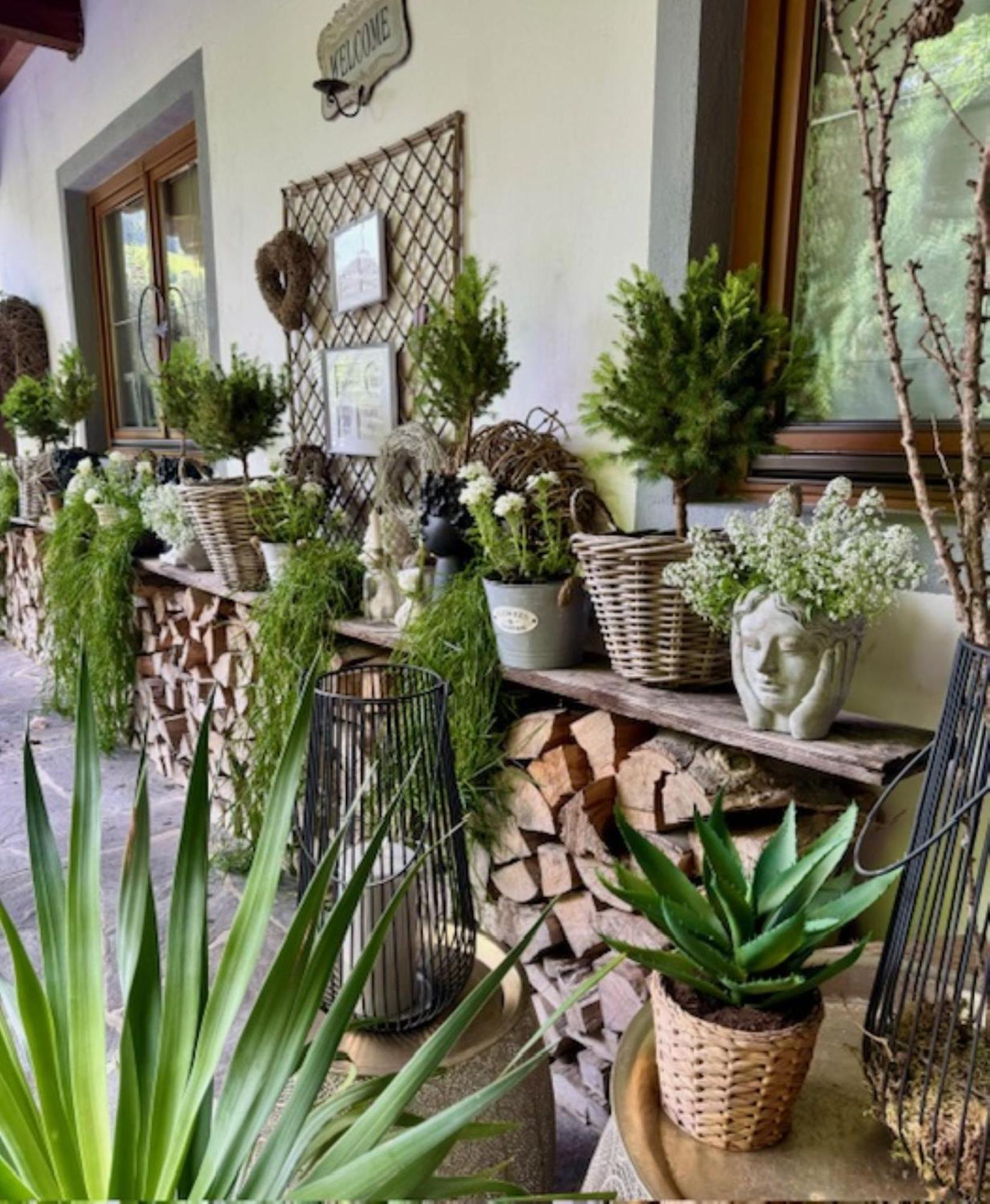 Appartements Im Weiherhof, 阿尔卑巴赫 外观 照片
